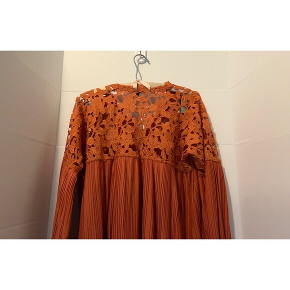 Express Blouse Small Rust Orange Crochet Lace Pleated Long Sleeve Boho Top Peasa - Picture 13 of 14